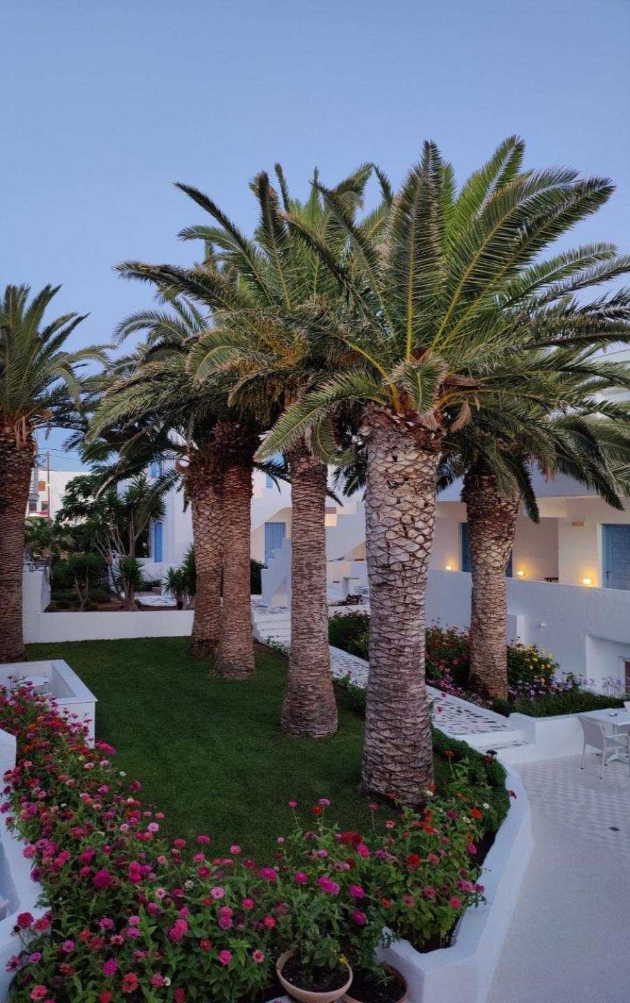 Naxos City Hotel Sagterra מראה חיצוני תמונה